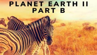 Video thumbnail of Planet Earth 2 Part B