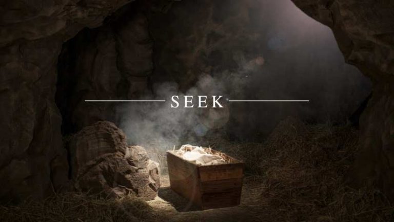 Seek