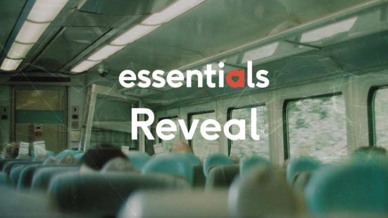 Essentials 1: Reveal