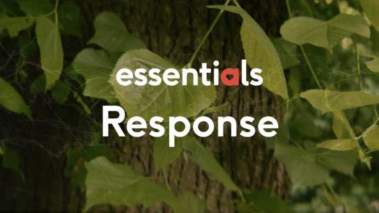 Essentials 5: Response