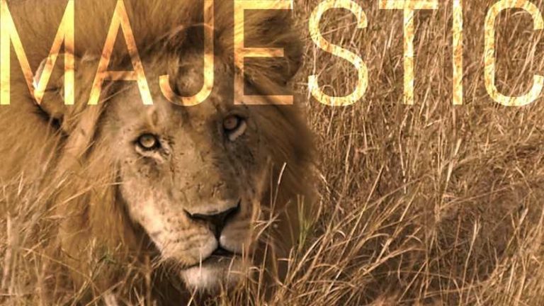 Majestic