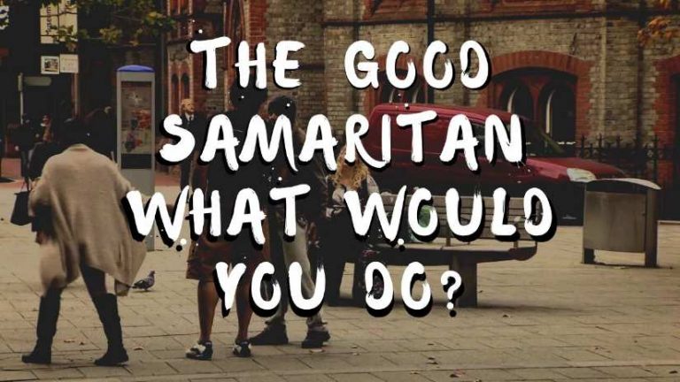What Would You Do?