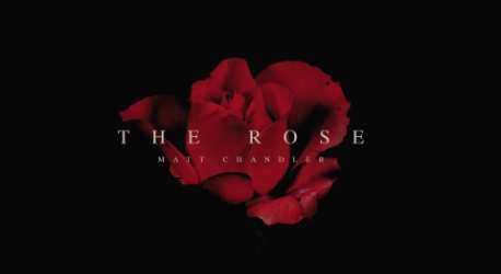 The Rose – Matt Chandler