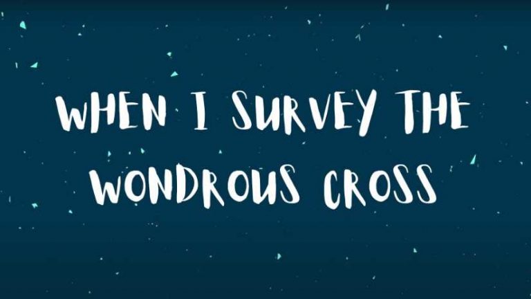 When I Survey
