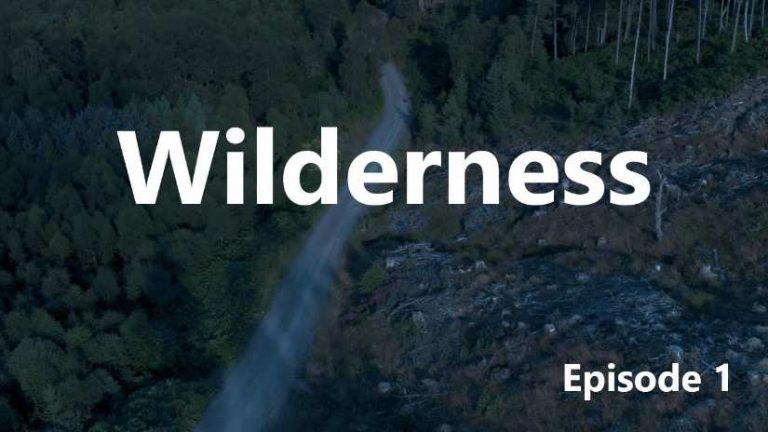 The Journey: Wilderness