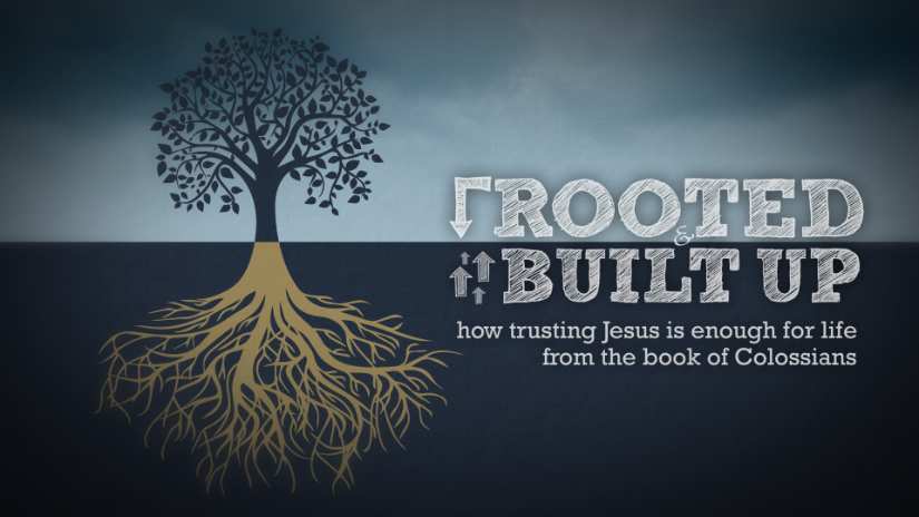 Rooted and Built Up: Colossians Series Intro - Go Chatter