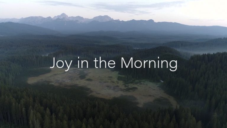 Joy in the Morning Lyric Video