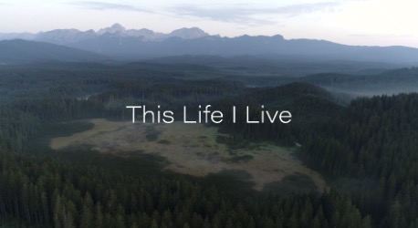 This Life I Live Lyric Video