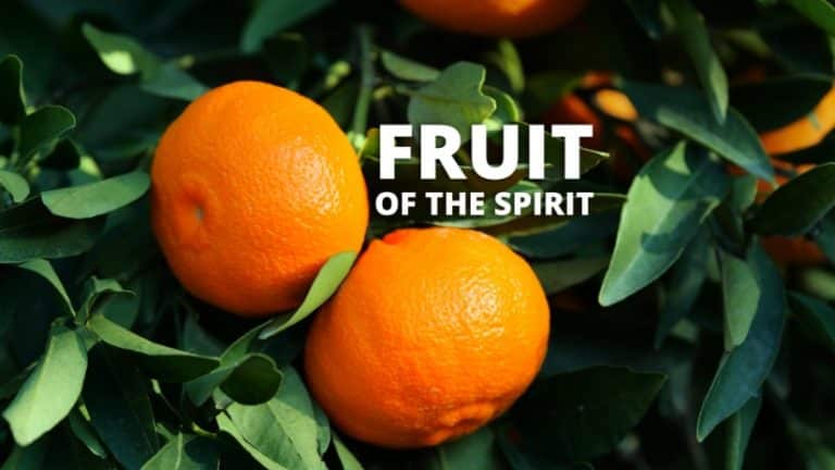 Fruit of the Spirit